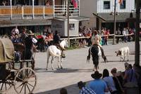 Pullman City - Harz