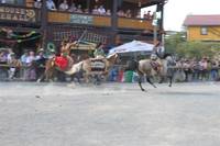 Pullman City - Harz